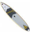 Tabla de paddle surf hinchable Fishbone EX