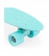 Penny Mint Complete Cruiser 22" Skateboard