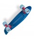 Penny Coral Sea 22" Skateboard