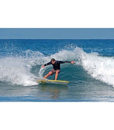 Tabla Surf 6'4" Pistol Whip Sic