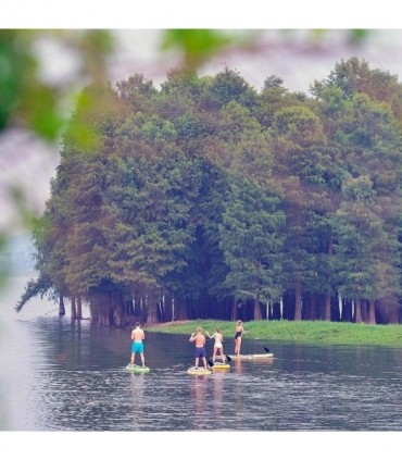 Tabla de Paddle Zray Sup Snapper 9'6"